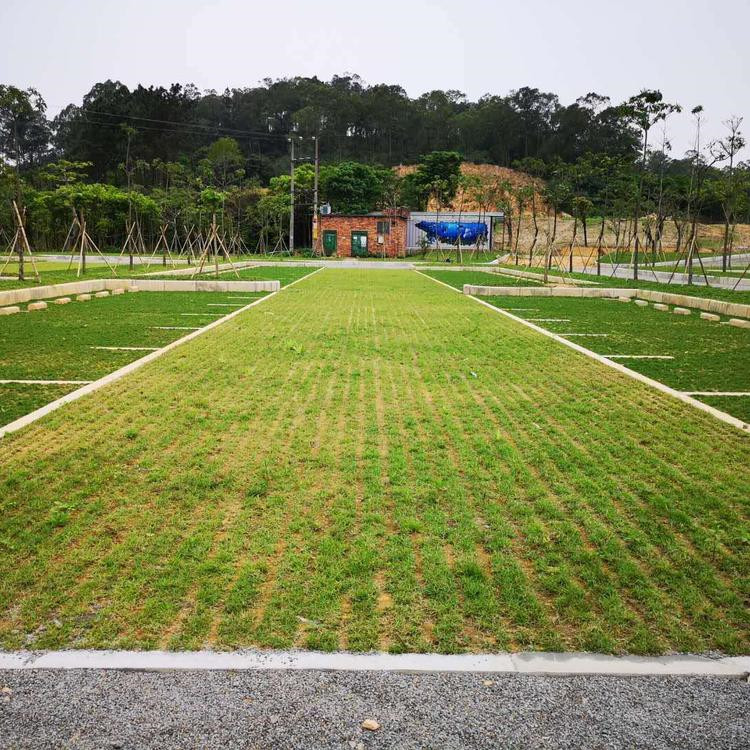 塑料植草格打造草坪的作用和意义